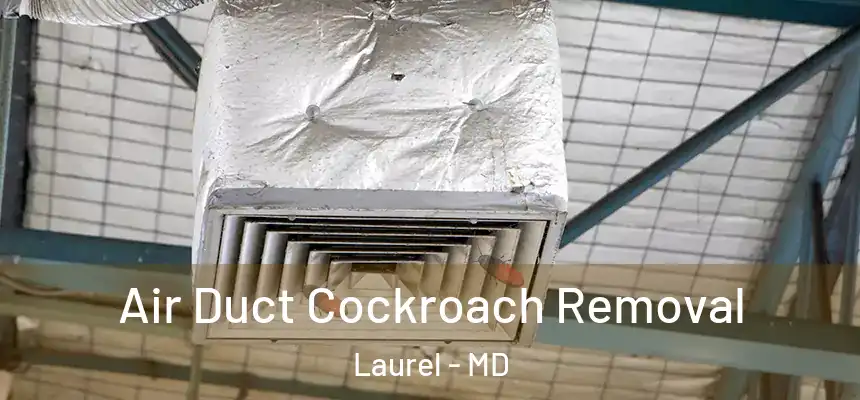 Air Duct Cockroach Removal Laurel - MD