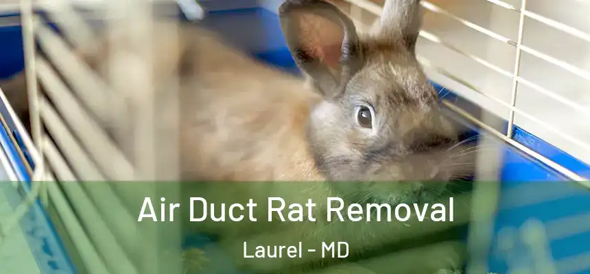  Air Duct Rat Removal Laurel - MD