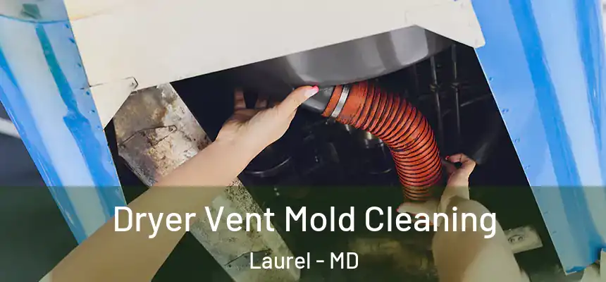 Dryer Vent Mold Cleaning Laurel - MD