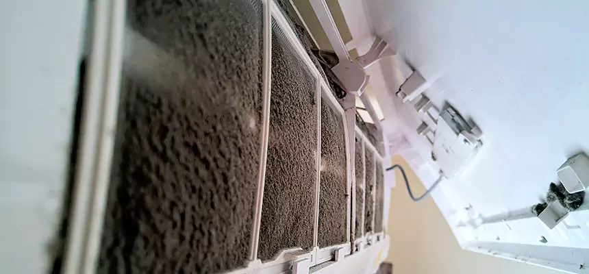 Preventive Air Duct Bacteria Removal in Laurel