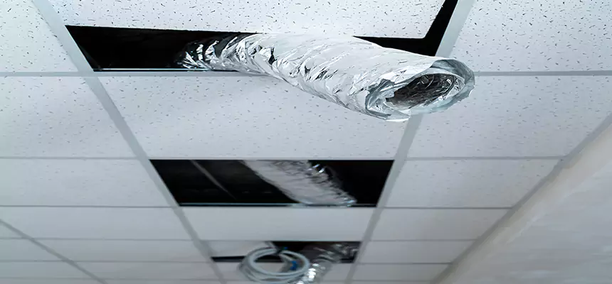 Our Air Duct Pet Hair Removal Services in Laurel, MD