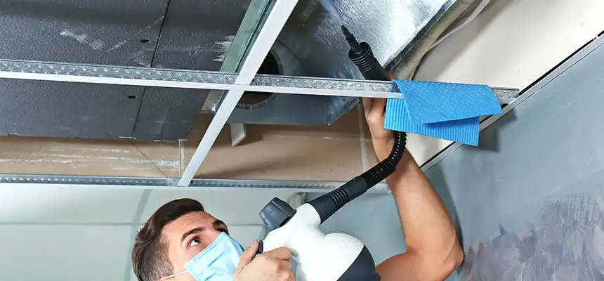 Our Air Duct Rodent Removal Services in Laurel, MD