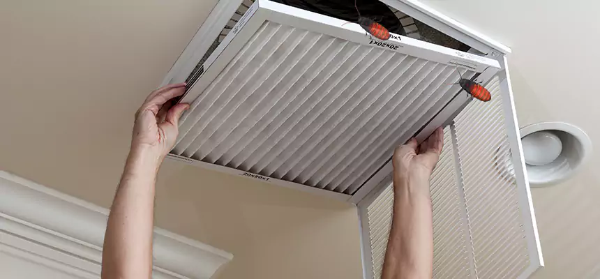 Our Insect Removal from Air Ducts Services in Laurel, MD