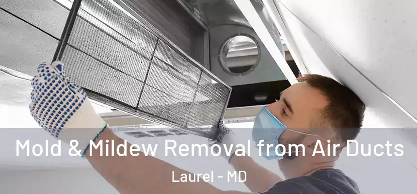 Mold & Mildew Removal from Air Ducts Laurel - MD