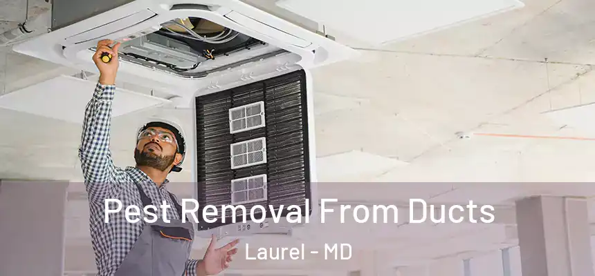  Pest Removal From Ducts Laurel - MD