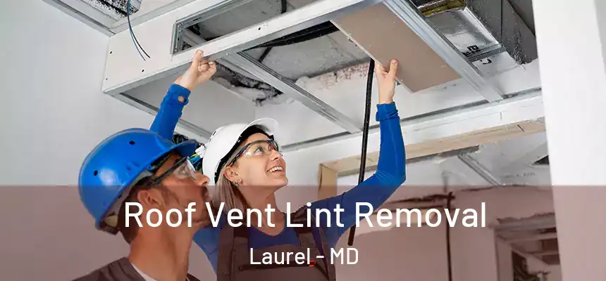 Roof Vent Lint Removal Laurel - MD