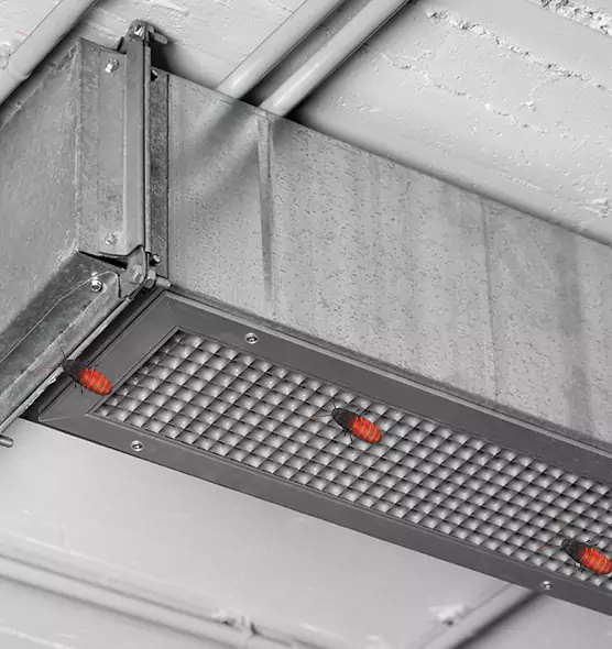 Affordable Insect Removal from Air Ducts in Laurel, MD
