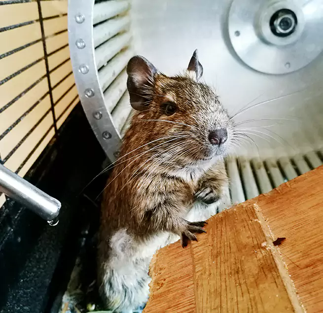 Why Homeowners & Businesses Trust Us Laurel, MD