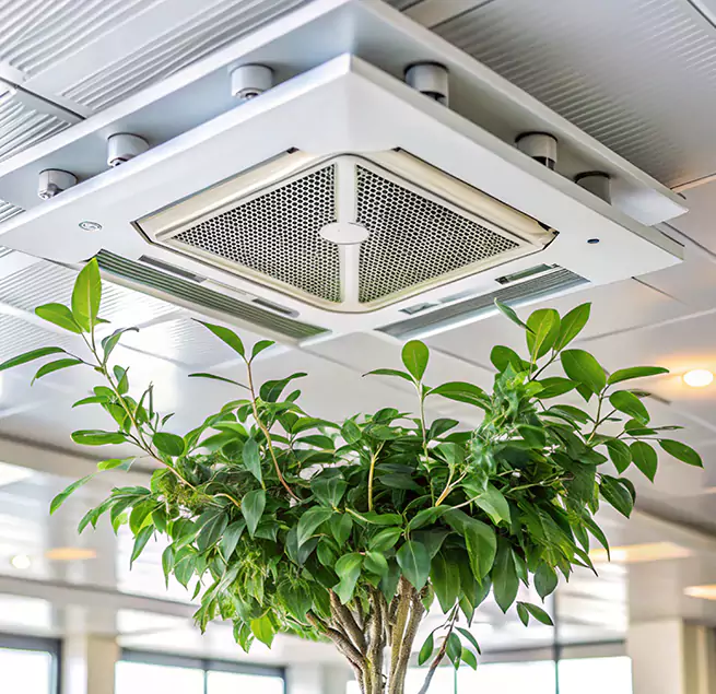 Why Homeowners & Businesses Trust Us in Laurel, MD?